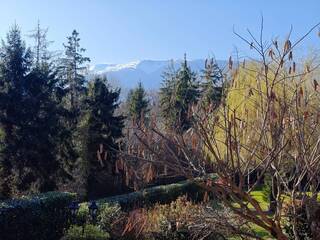 Vente Maison individuelle 8 pièces 250 m² Cessy 01170