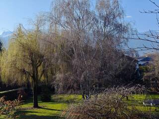 Vente Maison individuelle 8 pièces 250 m² Cessy 01170