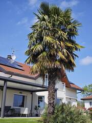 Vente Maison villa 6 pièces 182 m² Cessy 01170