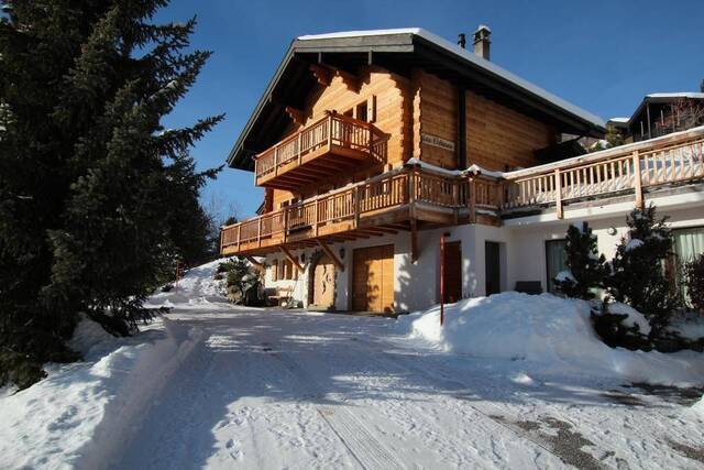 Location de vacances Chalet Elfines Rez 2 personnes Chandolin 3961