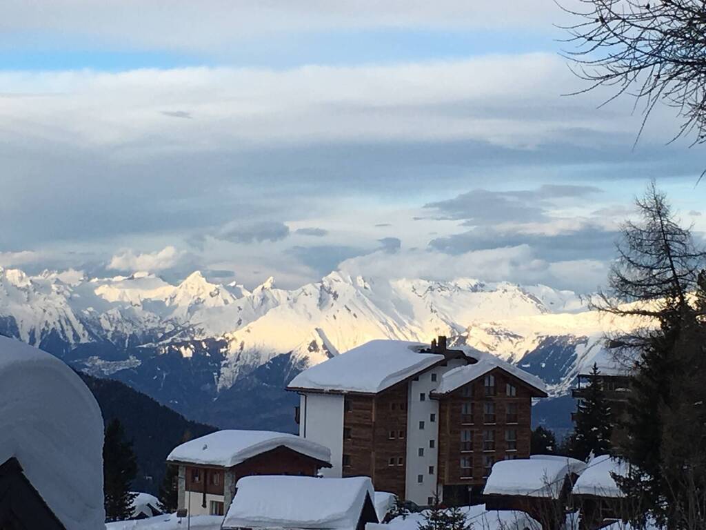 Vente Chalet Chandolin 3961