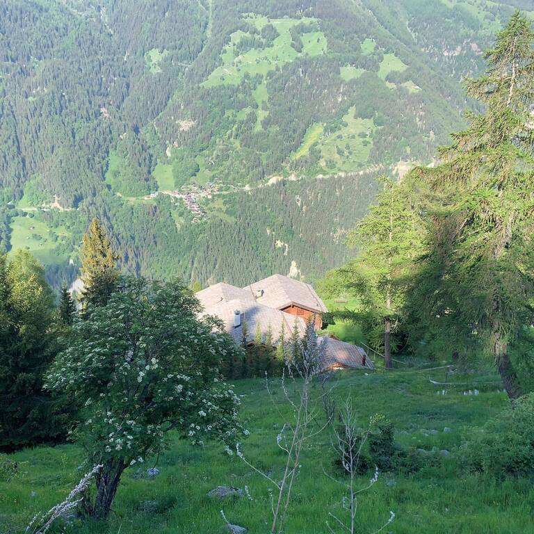 Vente Terrain St-Luc 3961