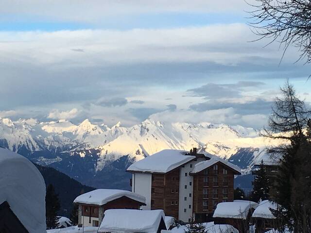 Vente Chalet Chandolin 3961