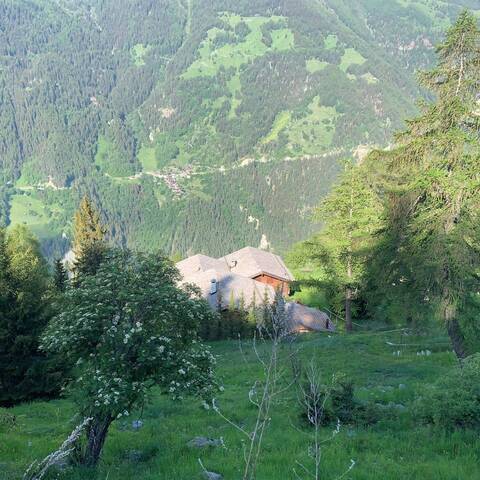 Vente Terrain St-Luc 3961