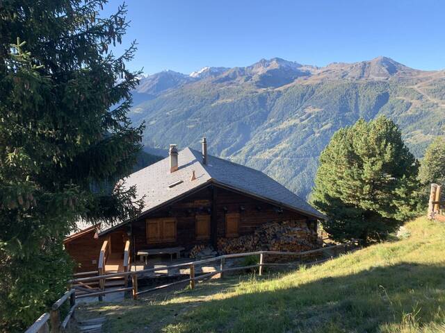 Vacation rentals Chalet 10 sleeps Chandolin 3961 LE REFLET