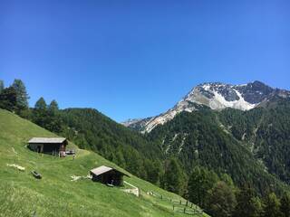 Vente Chalet Chandolin 3961