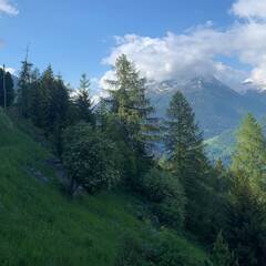 Vente Terrain St-Luc 3961