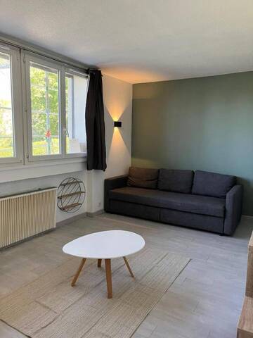 Location Appartement studio 1 pièce 27 m² Saint-Étienne 42000 LA METARE