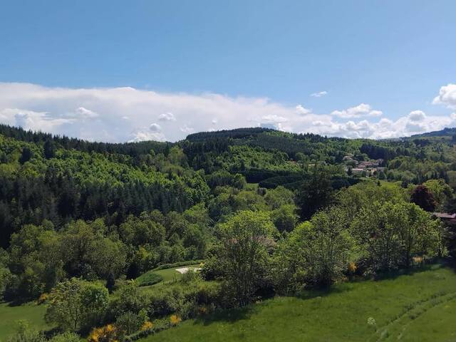 Location Appartement t3 49 m² Luriecq 42380