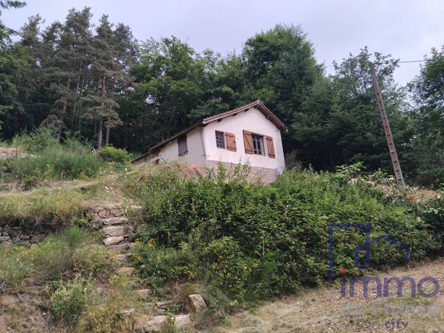 Vente Maison ancienne 3 pièces 50 m² Saint-Bonnet-le-Courreau 42940
