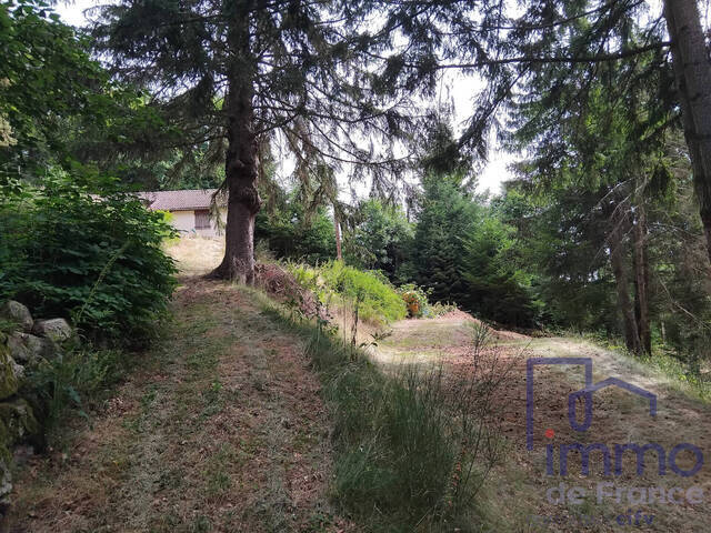 Vente Maison ancienne 3 pièces 50 m² Saint-Bonnet-le-Courreau 42940