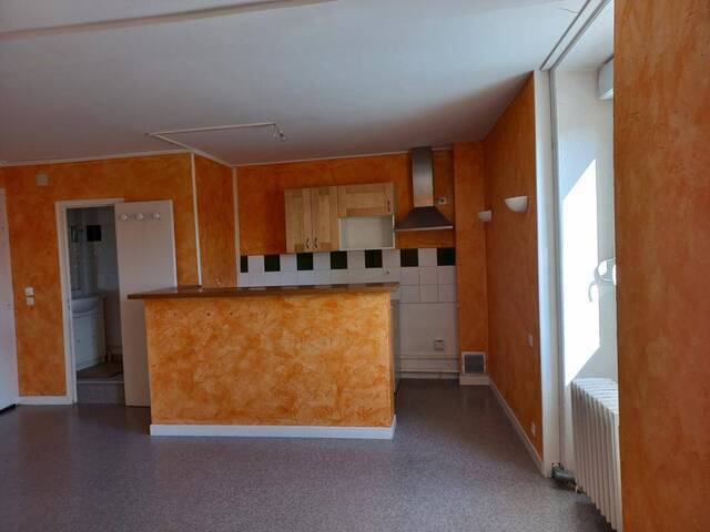 Location Appartement t2 55 m² Saint-Galmier 42330