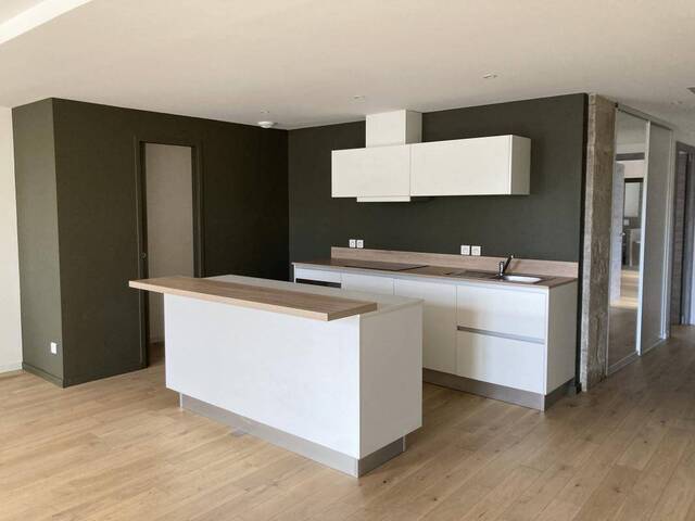 Rent Apartment t4 126 m² Le Puy-en-Velay 43000