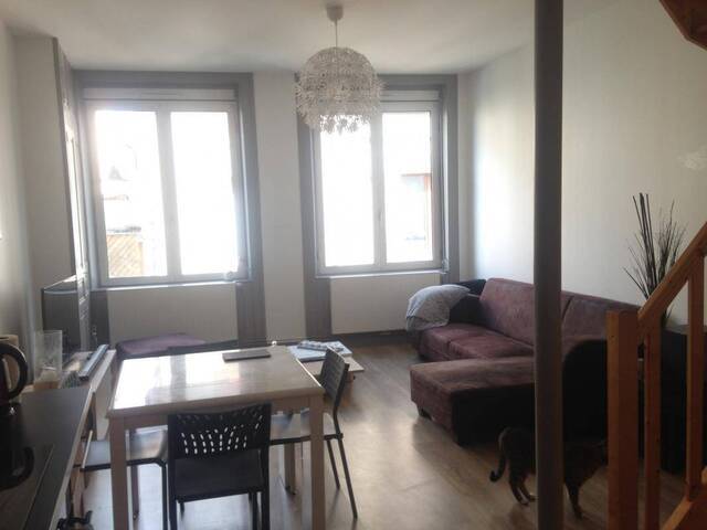 Location Appartement duplex/triplex 2 pièces 55 m² La Fouillouse 42480