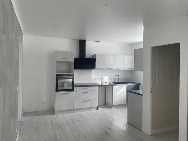 Location Appartement duplex/triplex 4 pièces 113 m² Andrézieux-Bouthéon 42160