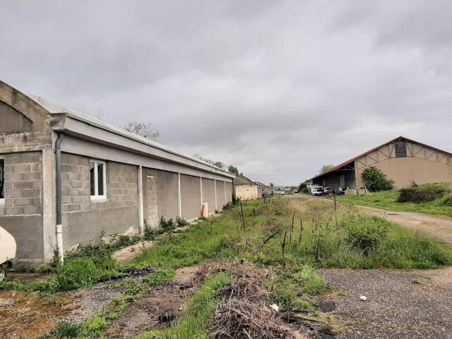 Location Local d'activité Bonson 42160