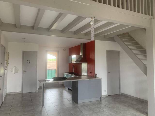 Location Appartement t1 bis 51 m² Saint-Symphorien-sur-Coise 69590