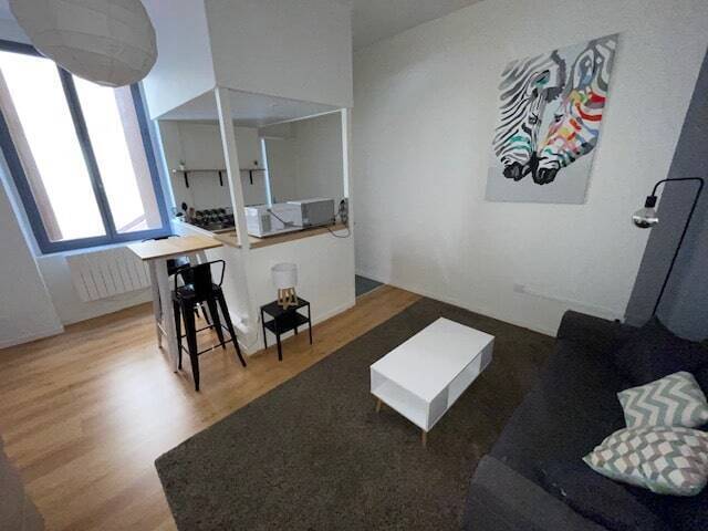 Location Appartement studio 1 pièce 23 m² Saint-Étienne 42000 HYPER CENTRE