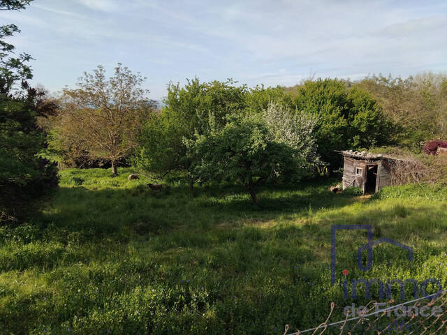 Vente Maison ancienne 4 pièces 150 m² Chaspinhac 43700