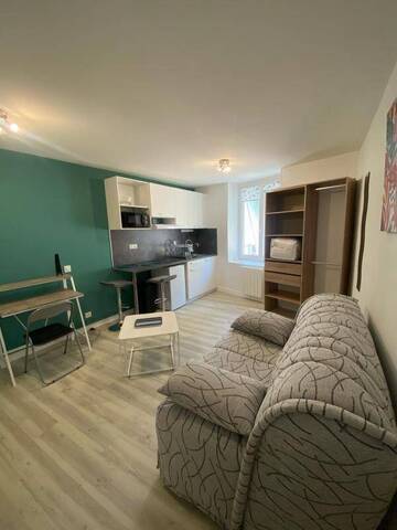 Location Appartement studio 1 pièce 19 m² Le Puy-en-Velay 43000
