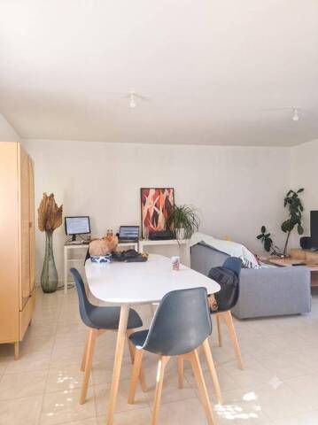Location Appartement t4 87 m² Montbrison 42600 Centre ville
