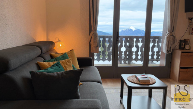 Vente Appartement studio coin montagne 1 pièce 25.25 m² Les Carroz d'Arâches 74300 Pieds des pistes