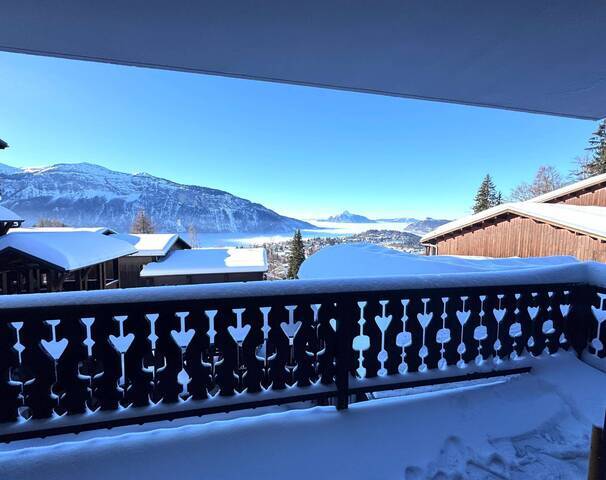 Vente Appartement studio coin montagne 1 pièce 25.25 m² Les Carroz d'Arâches 74300 Pieds des pistes