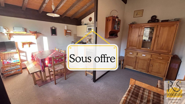 Vente Appartement studio coin montagne 29.29 m² Les Carroz d'Arâches 74300