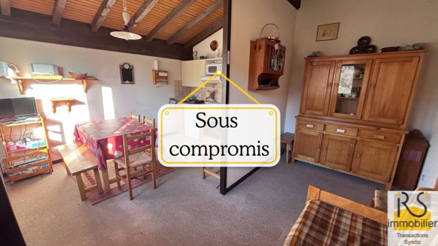 Vente Appartement studio coin montagne 29.29 m² Les Carroz d'Arâches 74300