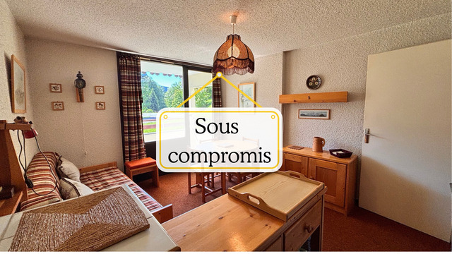 Vente Appartement t2 40.26 m² Les Carroz d'Arâches 74300 Le Pré du Bois