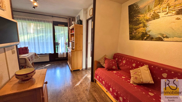 Sale 2 bedroom apartment 26.6 m² Les Carroz d'Arâches 74300