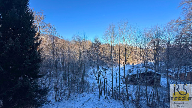 Vente Appartement studio coin montagne 1 pièce 20.26 m² Les Carroz d'Arâches 74300 Centre de la station