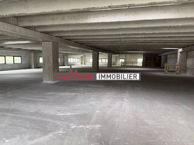 Vente Local entrepôt 1 pièce Passy 74190