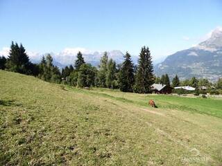 Vendu Terrain 863 m² Saint-Gervais-les-Bains 74170 Le Bettex