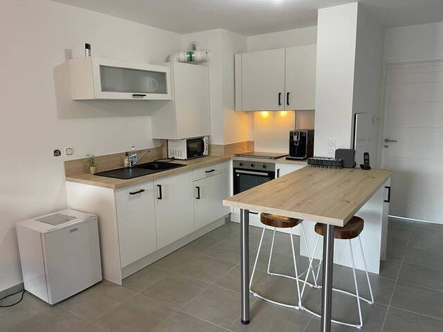 Vente Appartement t3 Grenoble 38100