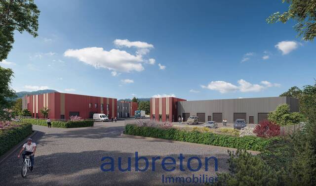 Vente Local d'activité Tullins 38210