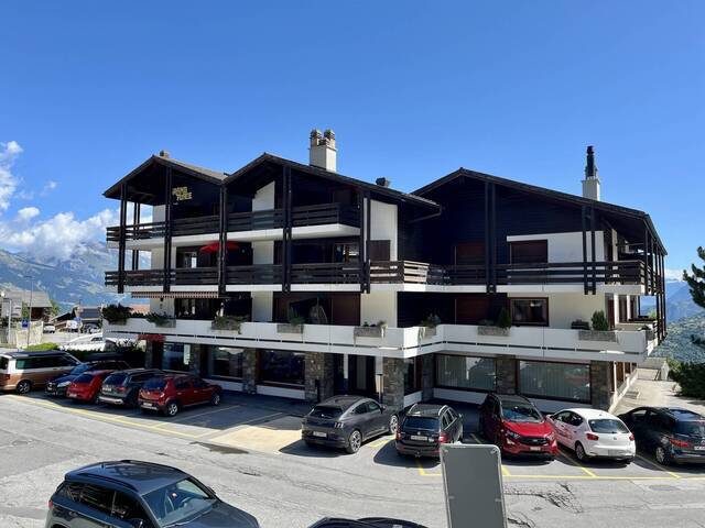 Vente Appartement 3.5 pièces 72 m² Haute-Nendaz 1997