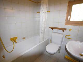 Location vacances Maison ou Chalet 6 personnes Haute-Nendaz 1997 Chalet Rainier