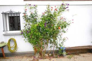 Location vacances Appartement 5 personnes Haute-Nendaz 1997 Cisalpina 1/1