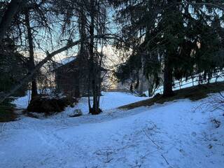 Location vacances Maison ou Chalet 9 personnes Haute-Nendaz 1997 Chalet Mont-Fort