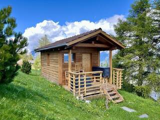 Vente Maison ou Chalet chalet 4 pièces 125 m² Haute-Nendaz 1997