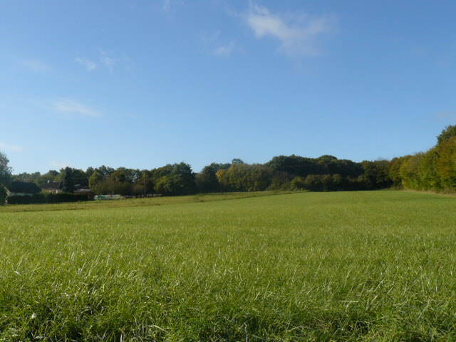 Bien vendu Terrain Mézilles 89130