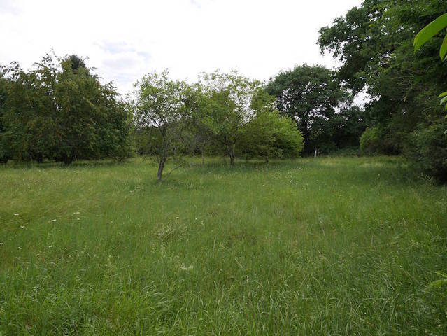 Bien vendu Terrain 42 m² Tannerre-en-Puisaye 89350