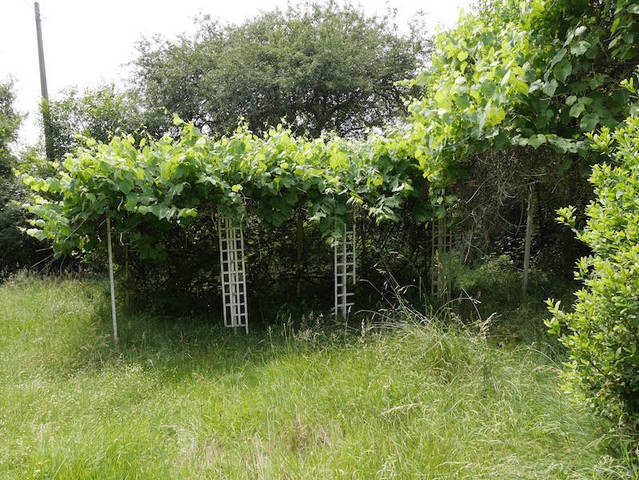 Bien vendu Terrain 42 m² Tannerre-en-Puisaye 89350