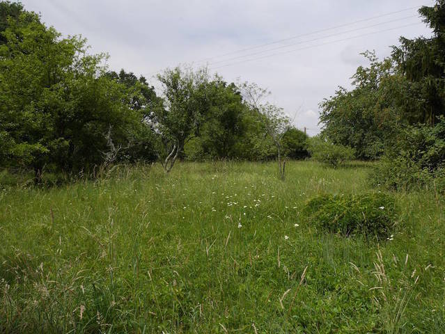 Bien vendu Terrain 42 m² Tannerre-en-Puisaye 89350
