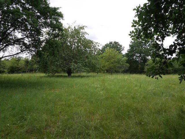 Bien vendu Terrain 42 m² Tannerre-en-Puisaye 89350