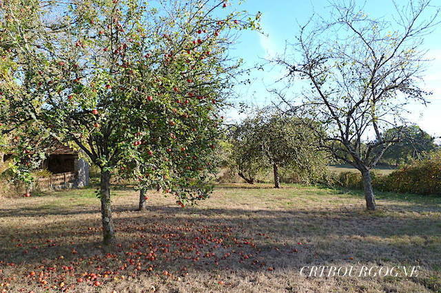 Bien vendu Maison corps de ferme 5 pièces 100 m² Toucy 89130