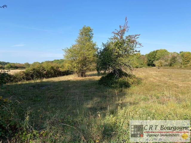 Bien vendu Maison corps de ferme 8 pièces 230 m² Saints en puisaye 89520