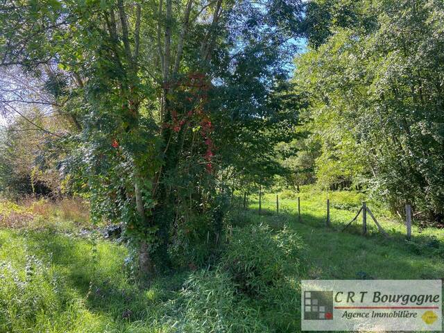 Vente Maison maison individuelle 5 pièces 110 m² Beauvoir 89240