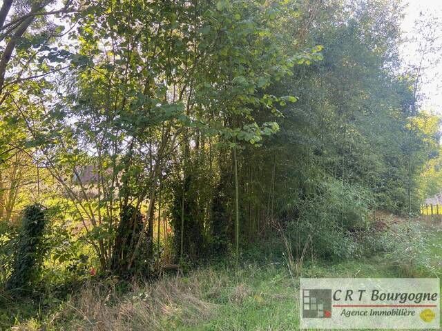 Vente Maison maison individuelle 5 pièces 110 m² Beauvoir 89240